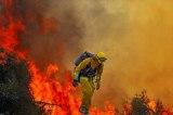 COMBATES DE INCENDIOS FORESTALES